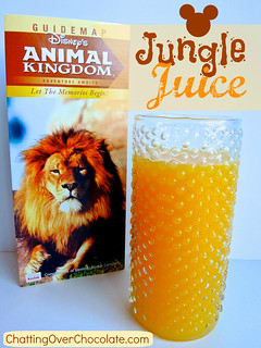 Disney's Jungle Juice {Copycat Recipe}