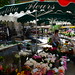 Aix en Provence Flower Market 05