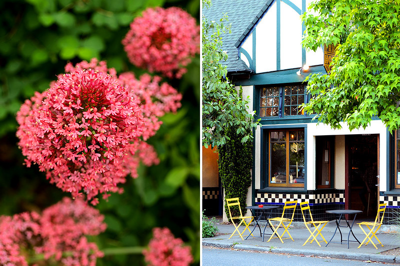 Pink Bloom and Outdoor Seating