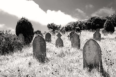 Cemeteries & Churchyards in monochrome