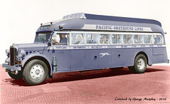 Greyhound Bus Colorized