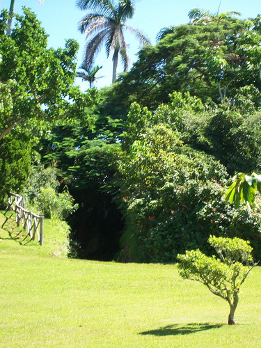 The Bermuda Arboretum, a national park, covers 22 acres.