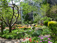 West Side Community Garden, New York City 
