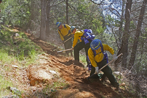 Firefighter trainees dig out a fire line during the Forest Service and California Conservation Corps joint training session.  (U.S. Forest Service photo)