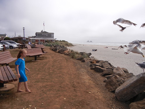 7-9-13 Beach haley and seagulls