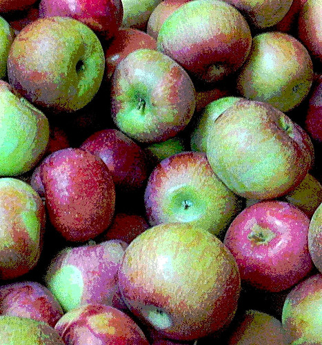 More Apples from Russell's (Posterized) by randubnick