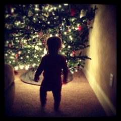 Got Christmas tree up and decorated. He is fascinated with the lights.