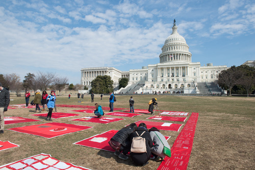 a large red quilt spreads out before the capitol