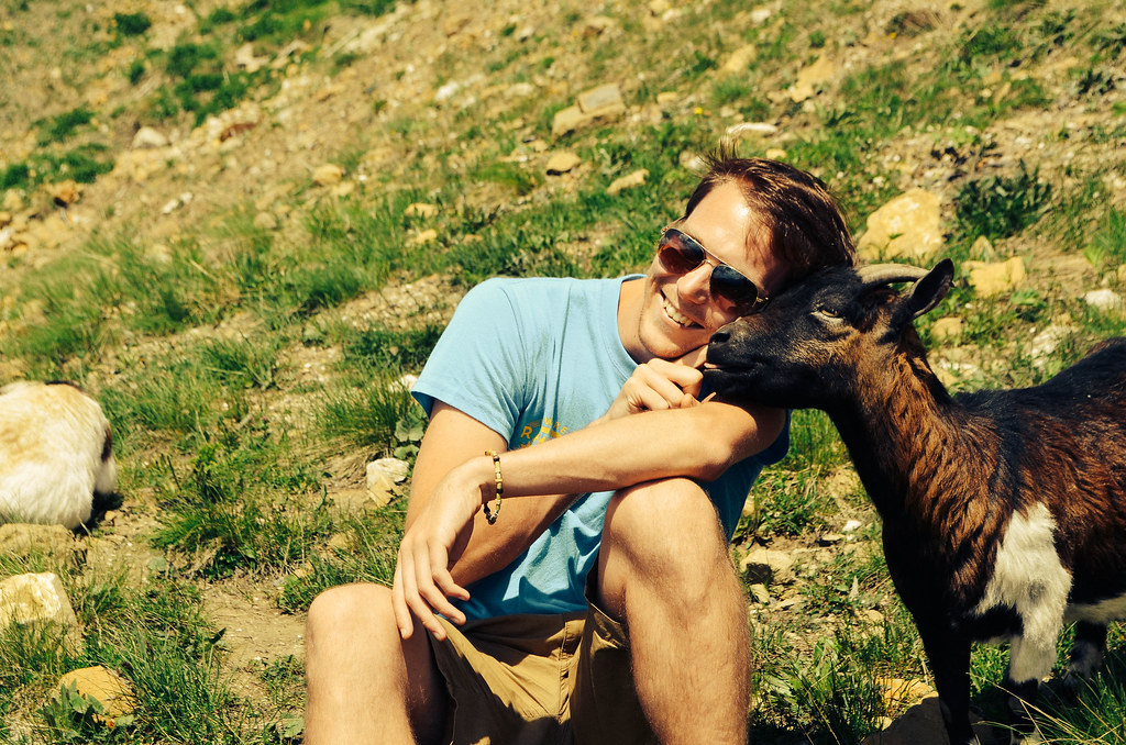 One day, I will live with goats