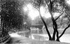 Lincoln Park 1906