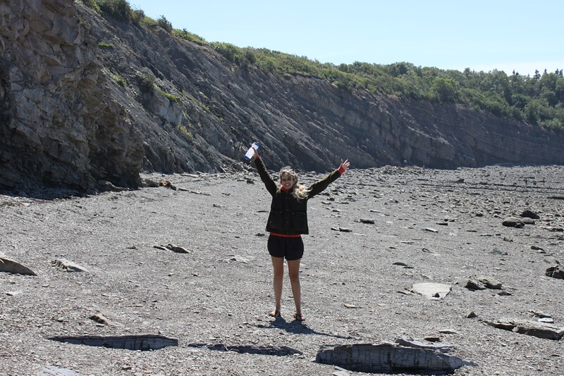 joggins fossil cliffs