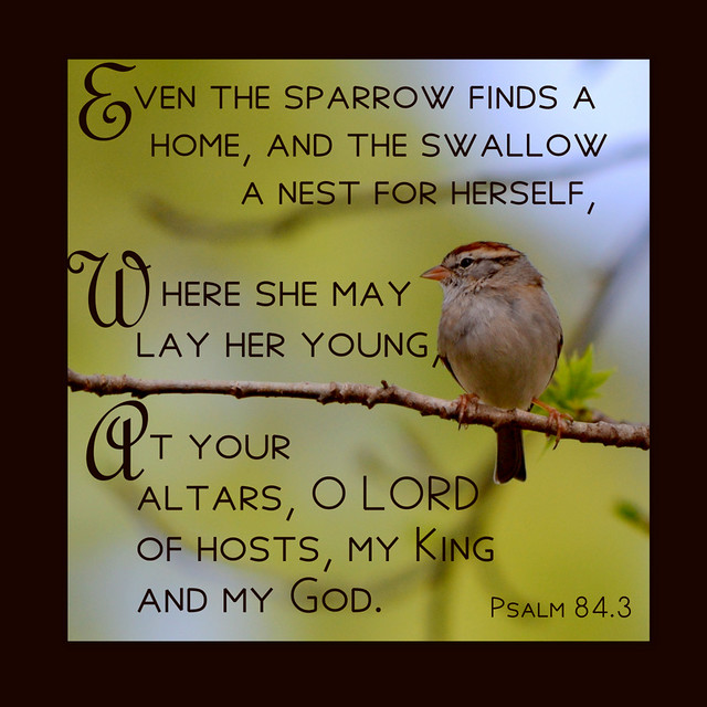 Psalm 84.3