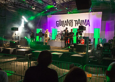 Giuliano Palma Torino Live