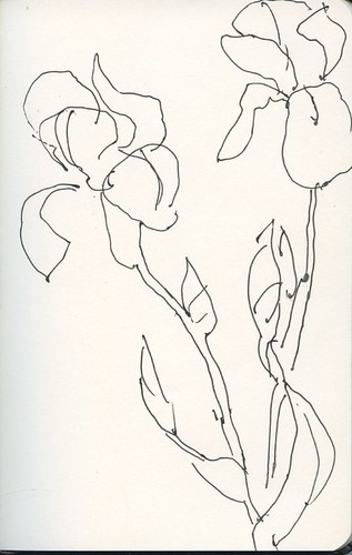 irises by Bricoleur's Daughter