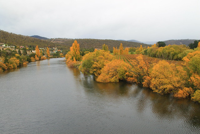 Fall Colours on the River Derwent