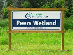 Peers Wetland