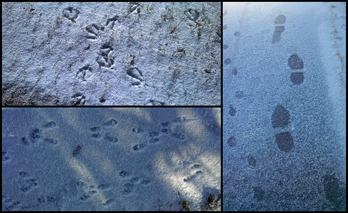 2:365:2014 Footprints Triptych