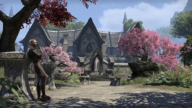 The Elder Scrolls Online on PS4