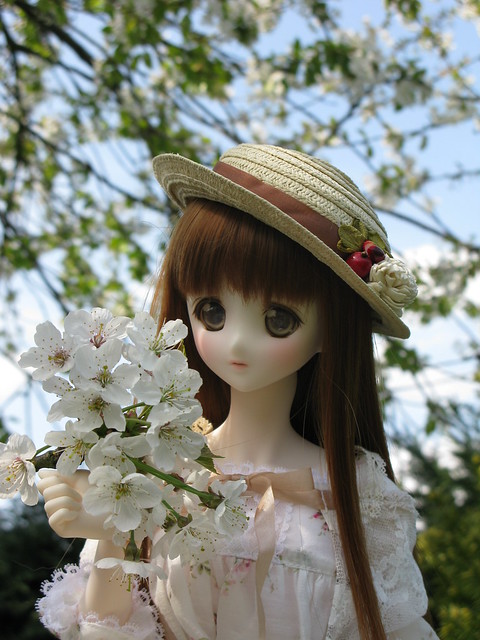 Spring Yui