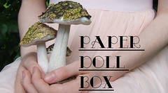 Paperdollbox