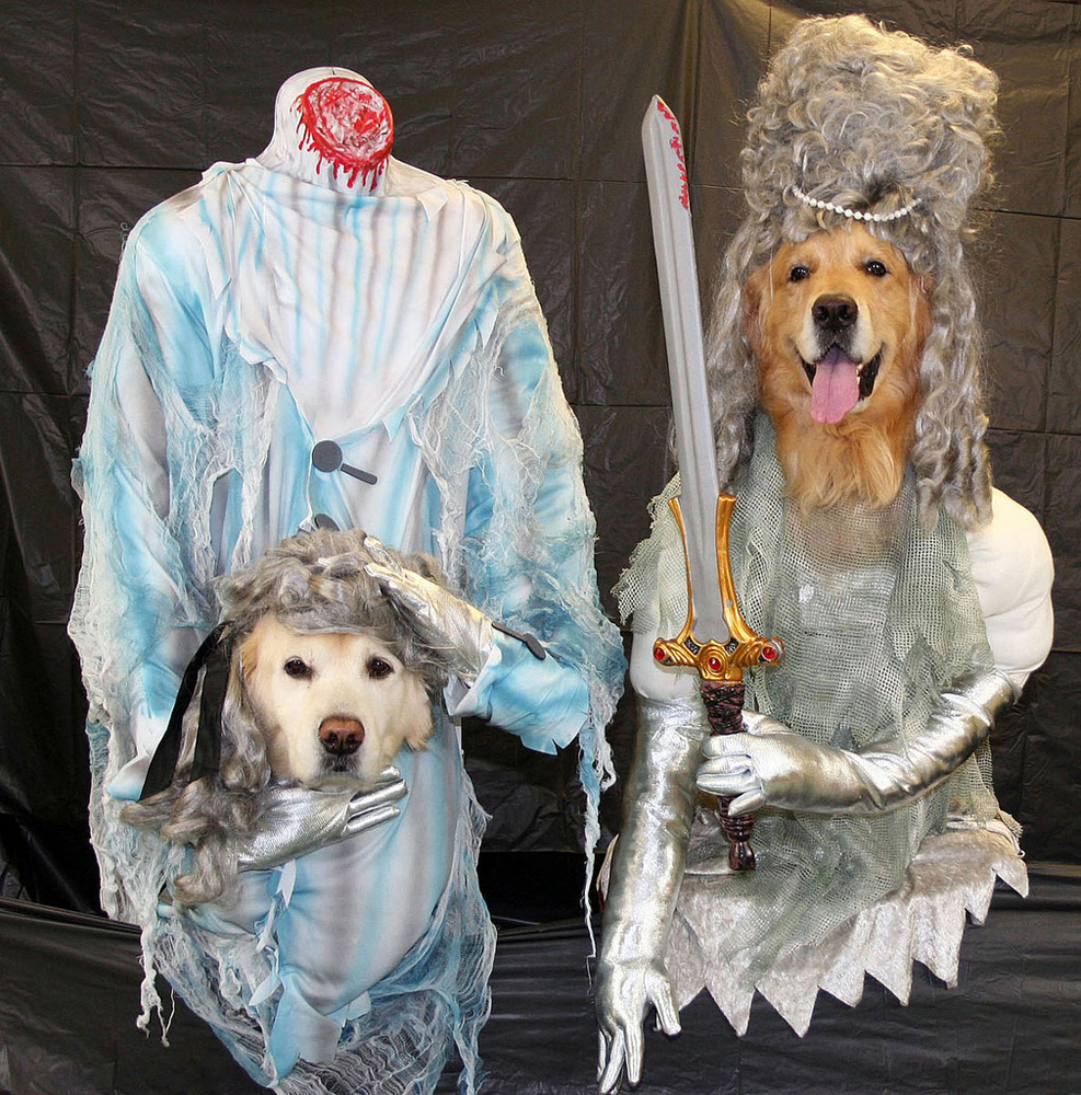 Headless Ghost Dogs