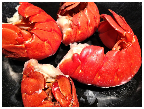 Lobster on a Tuesday - #128/365 by PJMixer