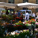Aix en Provence Flower Market 02