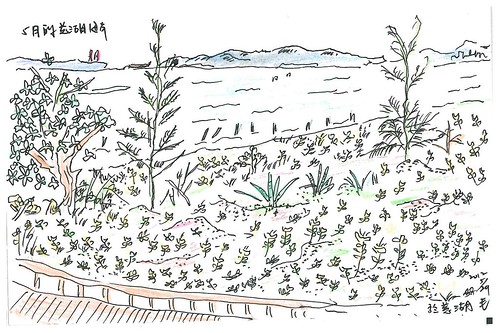 慈湖海岸景色-五月的潮詩，孫麗婷繪。