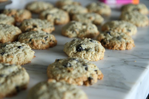 Coconut Blueberry COokies