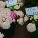 Aix en Provence Flower Market 06
