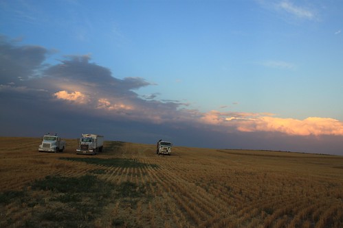 Service truck, Petey and our farmer's truck all in a row.