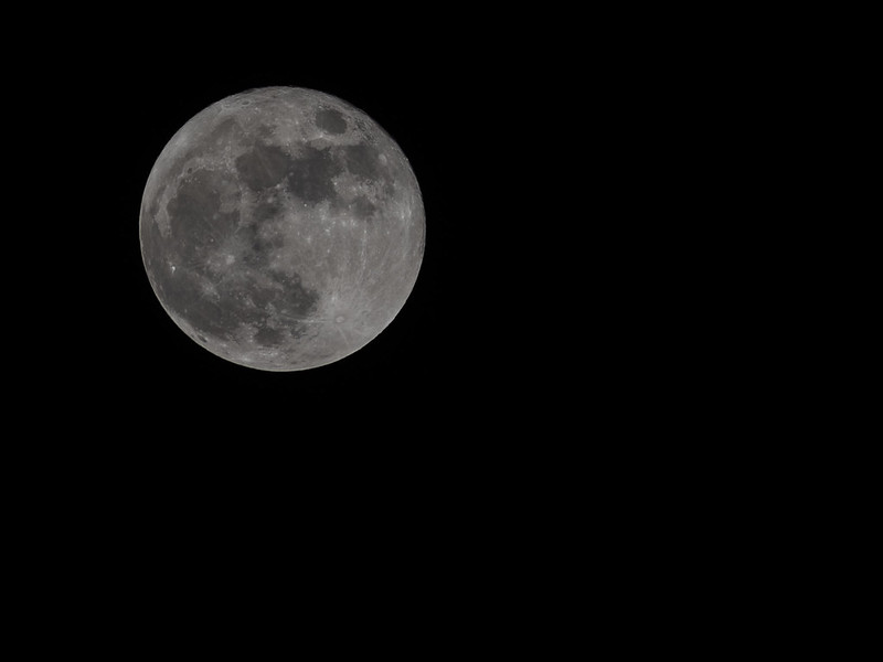 Full Moon Nov 17 2013