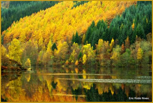 Autumn at Loch Tummel