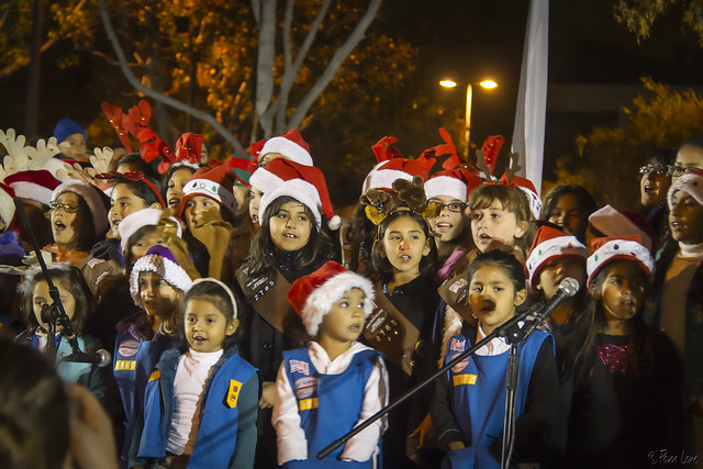 Girl Scouts at Christmas Tree Lighting