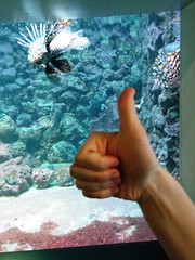 Bermuda Aquarium