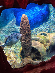 Malta national aquarium