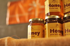 High Line Honey Day 2013