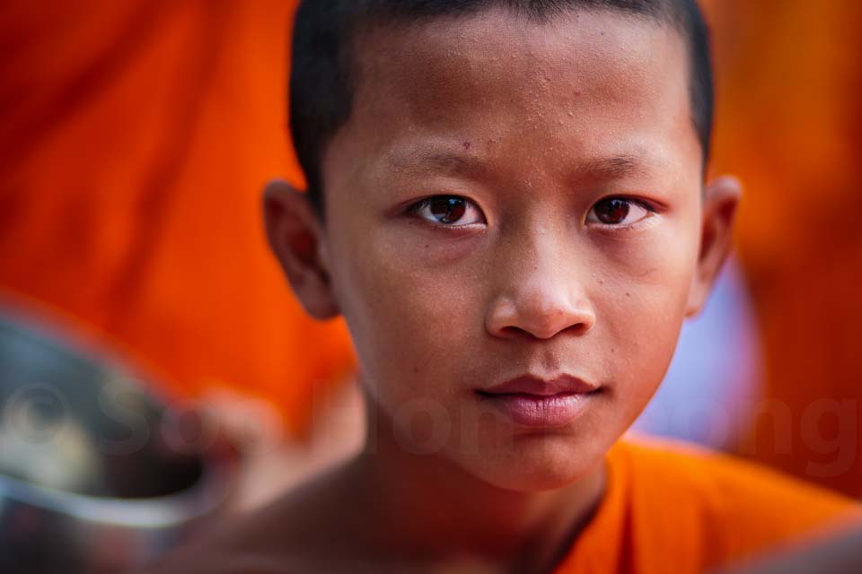 Young Monk - Alms offering to 10,000 monks in homage to the Triple Gem @ Bangkok, Thailand