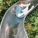 Legoland 2013: Frodo on slide