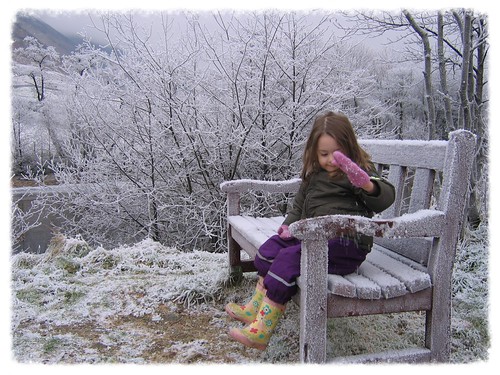 Georgia on a frosty bench