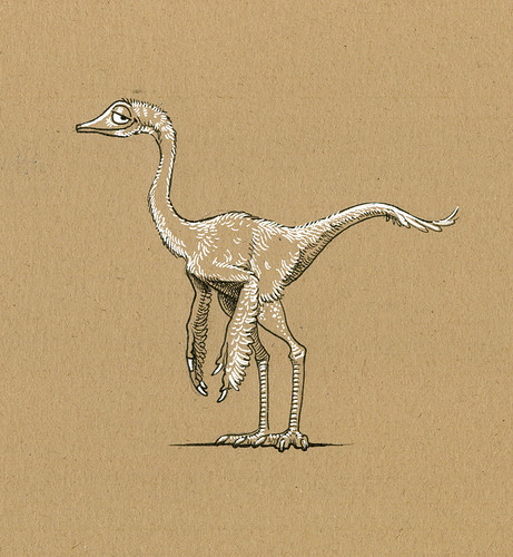 small coelurosaur