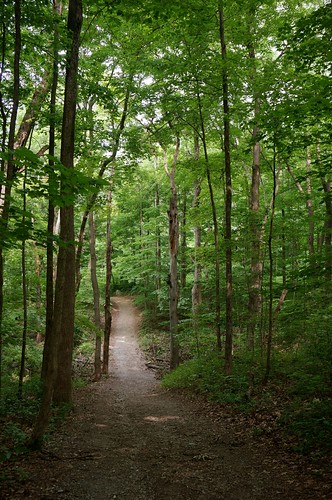 Hiking on Trail 5, Mounds State Park, Anderson, Indiana