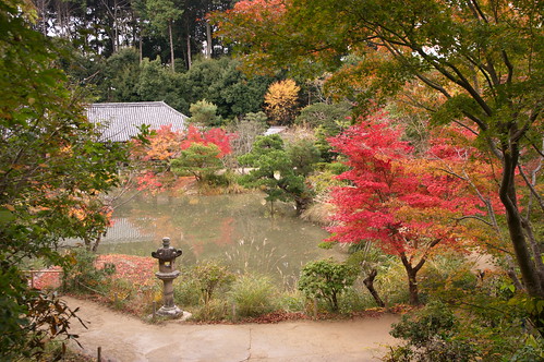 【写真】紅葉 : 浄瑠璃寺