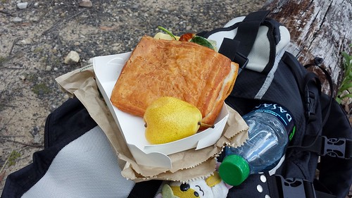 Post-Hike Picnic: Spinach Capsicum Croissant Sandwich & Pear