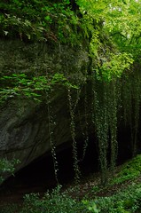 Entrée de la Grotte de la Baume Noire de Fretigney...