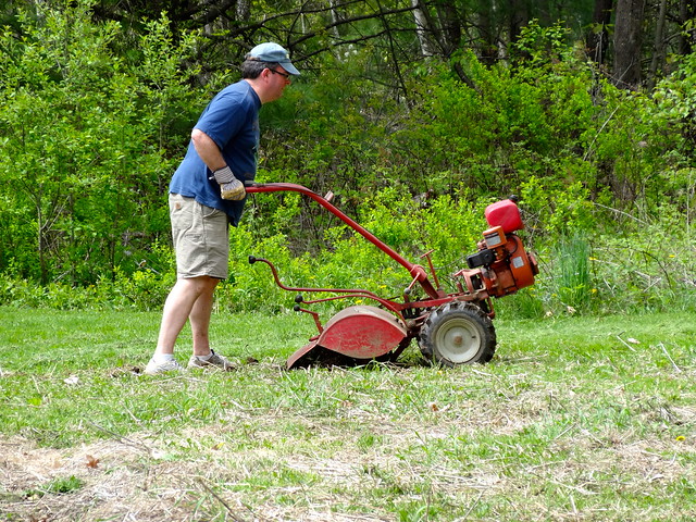 tilling so he can plant a cover crop of oats and peas