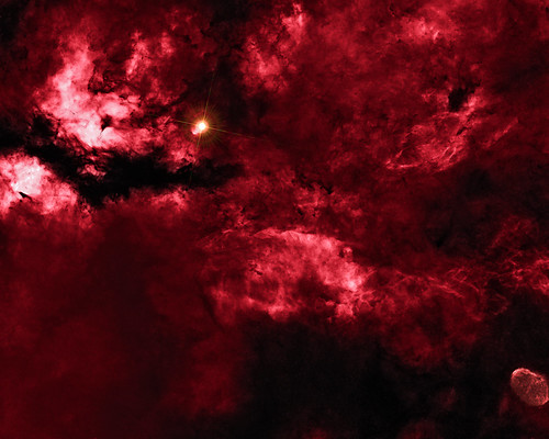 IC1318 - The Gamma Cygni Nebula, Crescent Nebula - Starless by Mick Hyde