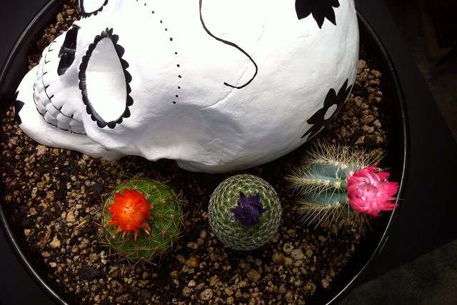 Sugar Skull & Cactus