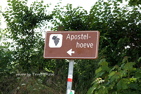 Apostelhoeve 酒莊-Masstricht-20120614