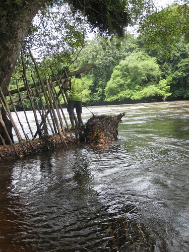 fish traps in the rapids